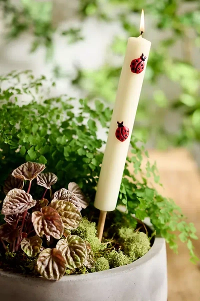 Terrain Bug Citronella Torch Candle In White