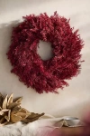 Terrain Burgundy Setaria Dried Wreath In Red