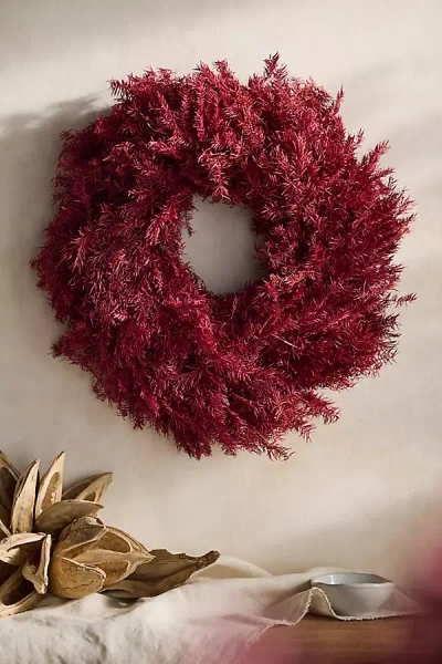 Terrain Burgundy Setaria Dried Wreath In Red