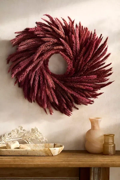 Terrain Burgundy Umbrella Sedge Dried Wreath