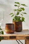 Terrain Burnished Ridge Planter