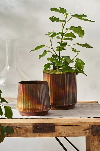 Terrain Burnished Ridge Planter In Brown