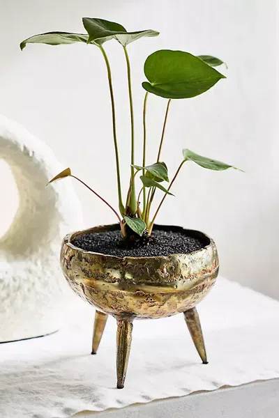Terrain Burnished Tripod Bowl Planter In Brown