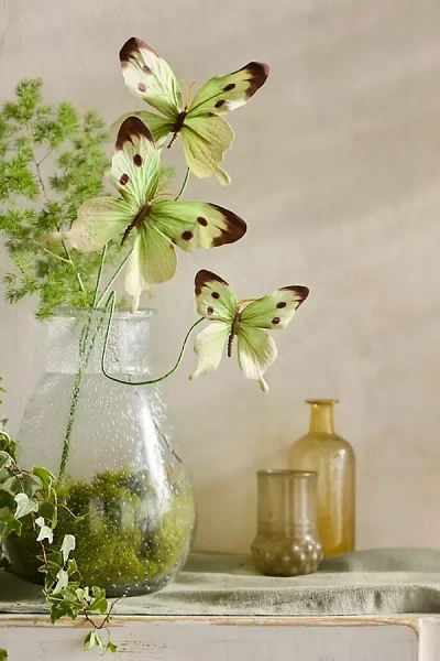 Terrain Butterfly Stem