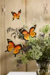 Terrain Butterfly Stem