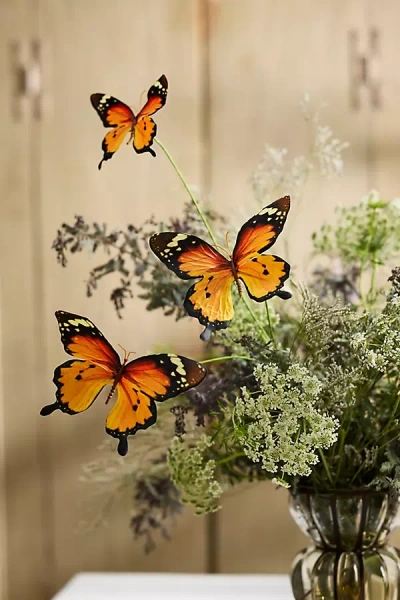 Terrain Butterfly Stem