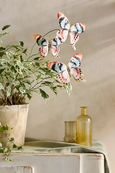 Terrain Butterfly Stem