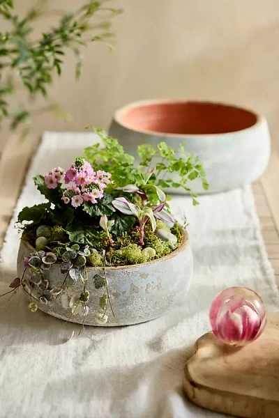 Terrain Canyon Blue Ceramic Bowl Planter