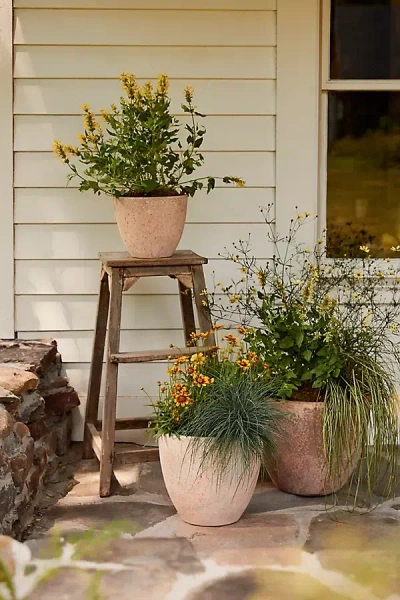 Terrain Canyon Ceramic Egg Planter In Orange