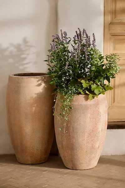 Terrain Canyon Ceramic Tall Egg Planter In Orange