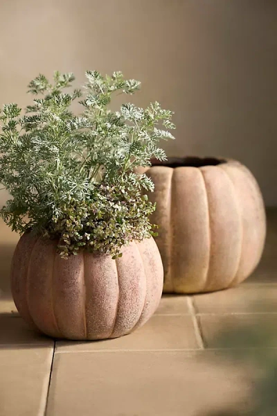 Terrain Canyon Orange Stoneware Pumpkin Planter