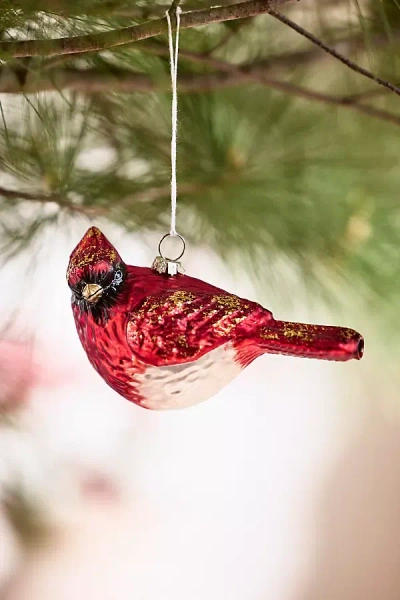 Terrain Cardinal Glass Ornament In Red