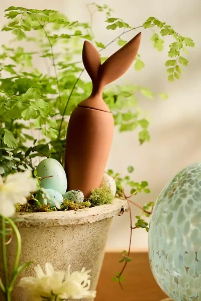 Terrain Carrot Terracotta Watering Spike In Green