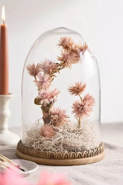 Terrain Carved Wood Cloche In Transparent