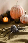 Terrain Cast Brass Spider