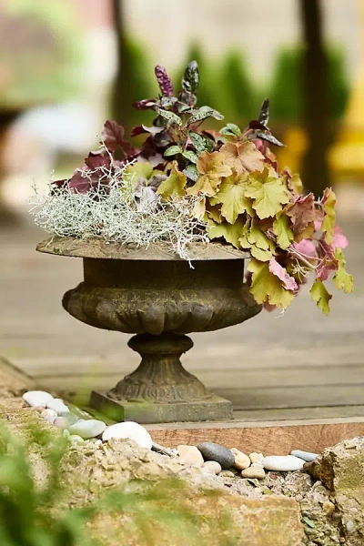 Terrain Cast Iron Classical Urn Planter