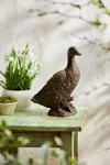 Terrain Cast Iron Duck In Brown
