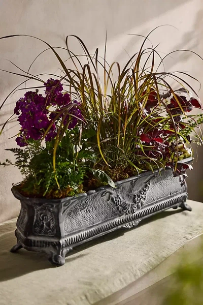 Terrain Cast Iron French Trough Planter In Multi