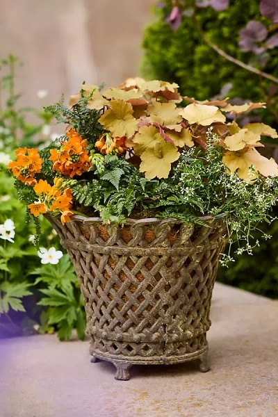 Terrain Cast Iron Lattice Basket Planter