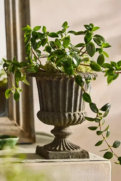 Terrain Cast Iron Linea Urn Planter In Brown