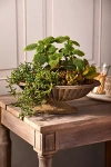Terrain Cast Iron Low Oval Urn Planter