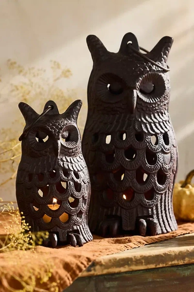 Terrain Cast Iron Owl Lantern In Gray