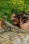 Terrain Cast Iron Pheasant In Multi
