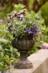 Terrain Cast Iron Poppy Urn In Multi