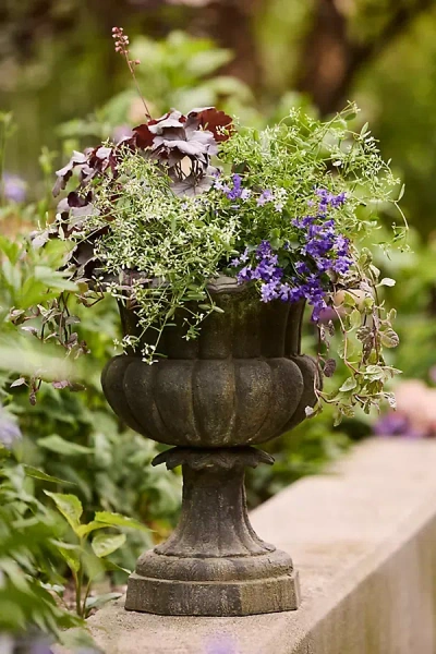 Terrain Cast Iron Poppy Urn In Multi