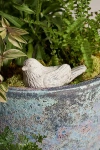 Terrain Cement Bird