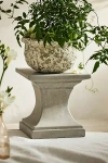 Terrain Cement Pedestal Plant Stand, Square In Neutral