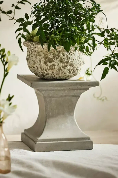 Terrain Cement Pedestal Plant Stand, Square In Neutral
