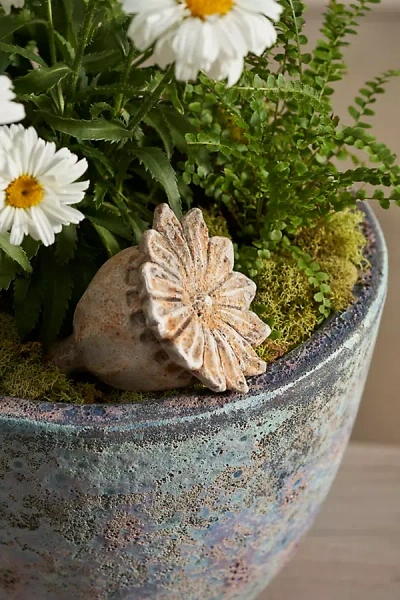 Terrain Cement Poppy Pod