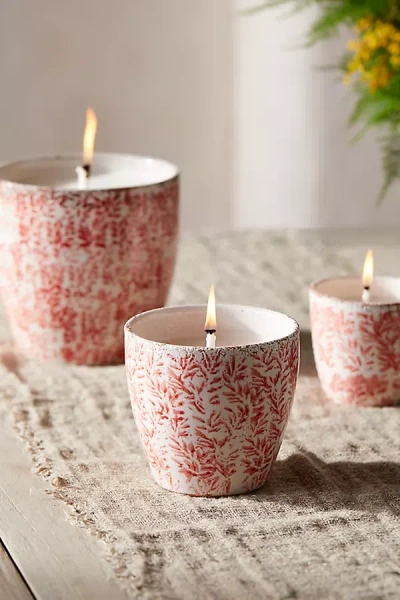 Terrain Ceramic Citronella + Thyme Candle, Coral Floral