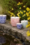 Terrain Ceramic Citronella + Thyme Candle, Coral Floral