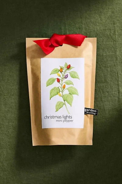 Terrain Christmas Lights Pepper Grow Kit