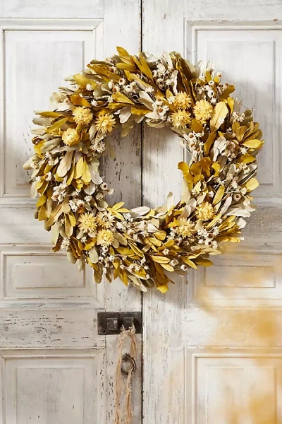 Terrain Citrus Grove Dried Wreath