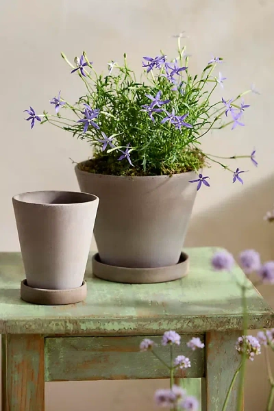 Terrain Classic Galestro Pot + Saucer Set In Grey
