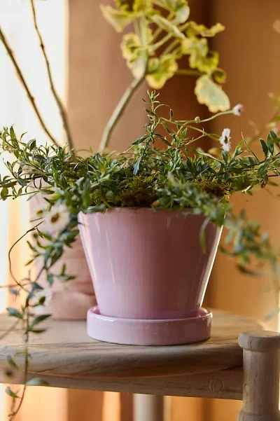 Terrain Classic Glazed Galestro Pot + Saucer Set