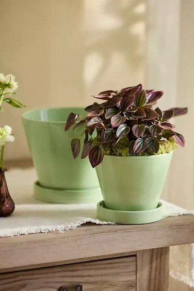 Terrain Classic Glazed Galestro Pot + Saucer Set