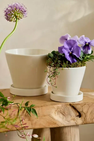 Terrain Classic Glazed Galestro Pot + Saucer Set In Multi