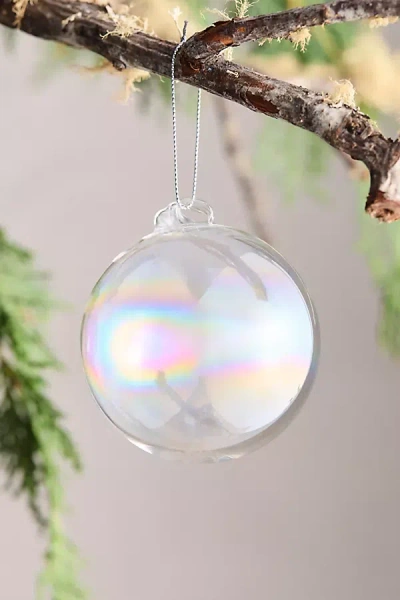 Terrain Clear Iridescent Glass Globe Ornament In White