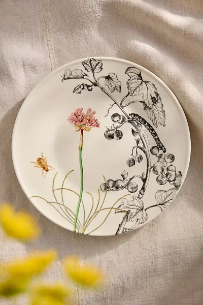 Terrain Colorful Creature Stoneware Plate