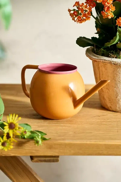 Terrain Colorful Enamel Watering Can, Harvest In Brown