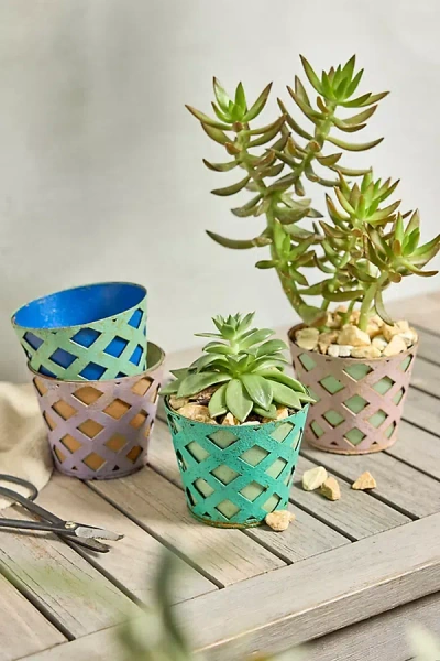 Terrain Colorful Iron Lattice Pot
