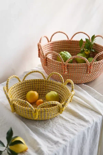 Terrain Colorful Seagrass Basket In Multi