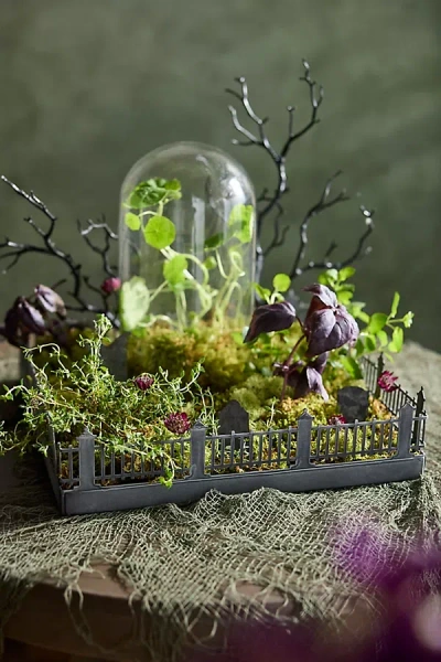 Terrain Concordville Spooky Village Fenced Tray In Multi