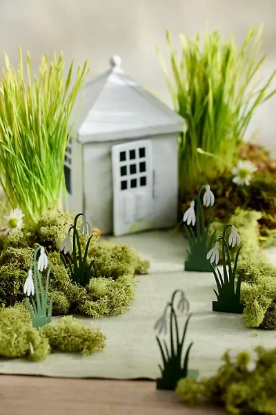 Terrain Concordville Spring Snowdrops, Set Of 5