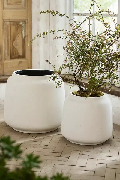 Terrain Concrete Droplet Jar Planter In White