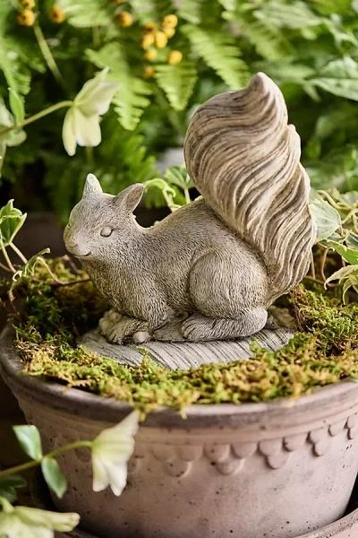 Terrain Concrete Squirrel In Neutral